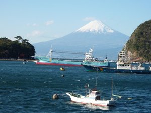 今日の富士山（戸田港）