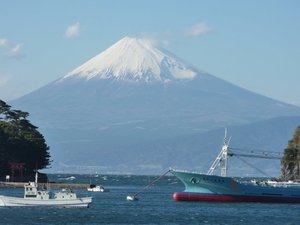 今日の富士山（戸田港）