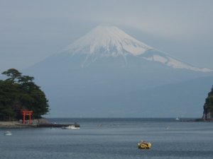 今日の富士山（戸田港）