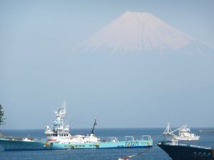 今日の富士山（戸田港より）