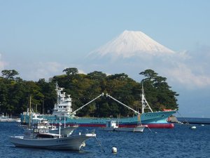 今日の富士山（戸田港）