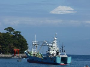 今日の富士山（戸田港）
