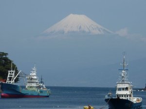 今日の富士山（戸田港）