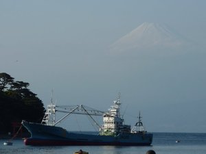 今日の富士山（戸田港）