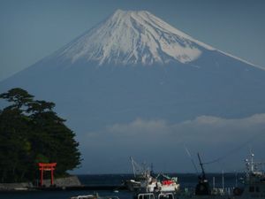 今日の富士山（戸田港より）