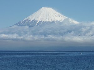 巻き網船団の大回航（出逢い岬より）