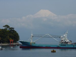 今日の富士山（戸田港）