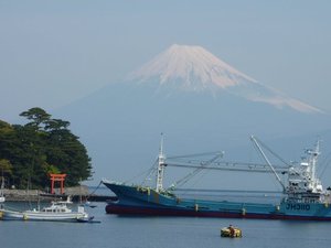 今日の富士山（戸田港）