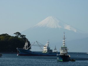 今日の富士山（戸田港）