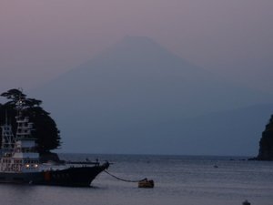 駿河湾の深海ザメと深海魚（駿河湾のトロール漁）