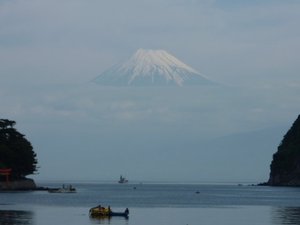 今日の富士山（戸田港）
