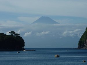 今日の富士山（戸田港）