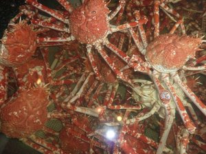 高足ガニも夏バテ気味
