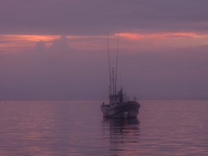 戸田港の夕暮れ