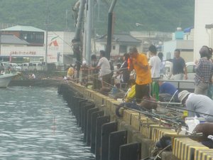 朝の岸壁釣り（戸田港）