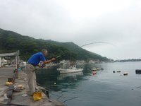 岸壁のボラ釣り（戸田港）