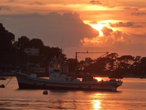 夕暮れの戸田港