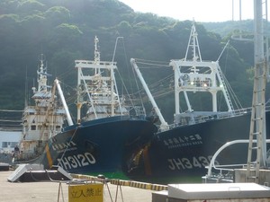 今日の戸田港9/11