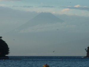 今日の富士山（戸田港）