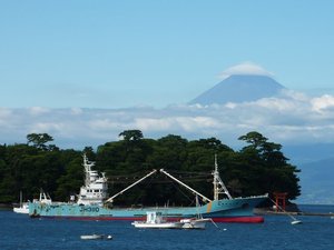 今日の富士山（戸田港）