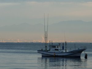 早朝の戸田港