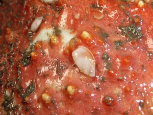 深海魚の水揚げ（駿河湾のトロール漁）