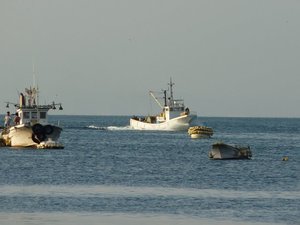 高足ガニ大漁（駿河湾のトロール漁）