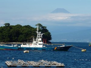 今日の富士山（戸田港）