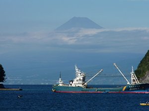 今日の富士山（戸田港）