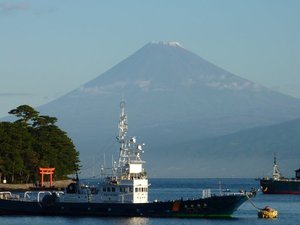 今日の富士山（戸田港）