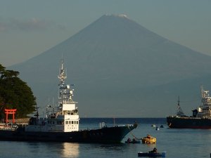今日の富士山（戸田港）