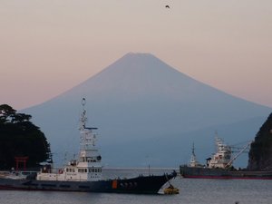 今日の富士山（戸田港）
