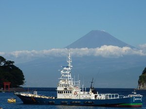 今日の富士山（戸田港）