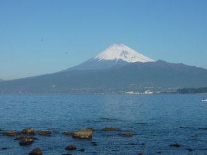 今日の富士山（戸田港）