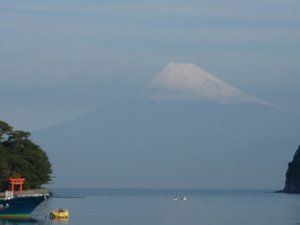 今日の富士山（戸田港）