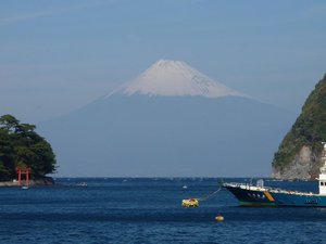 今日の富士山（戸田港）
