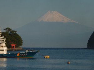 今日の富士山（戸田港）