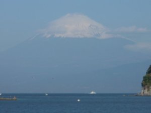 今日の富士山（戸田港）