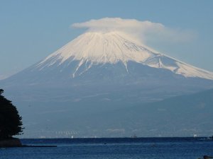 今日の富士山（戸田港）