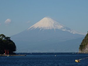 今日の富士山（戸田港）