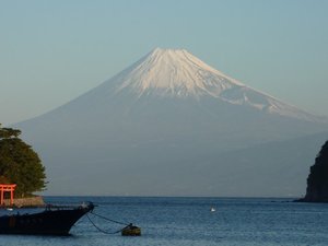 今日の富士山（戸田港）