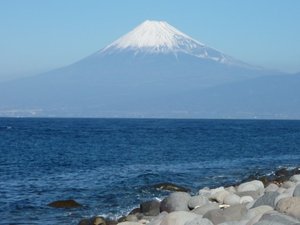 今日の富士山（戸田港）