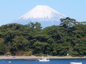 今日の富士山（戸田港）