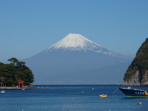 今日の富士山（戸田港）