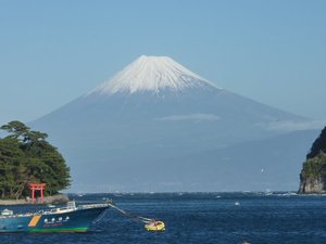 今日の富士山（戸田港）