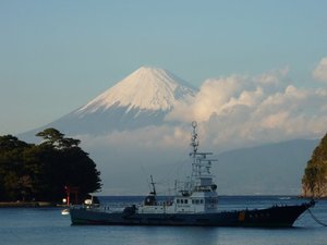 今日の富士山（戸田港）