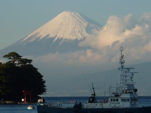 今日の富士山（戸田港）