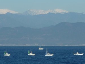 今日の富士山（戸田港）
