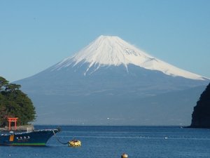 今日の富士山（戸田港）