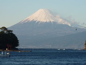 今日の富士山（戸田港）